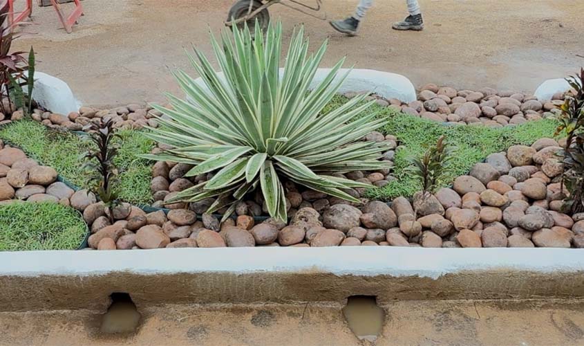 Jardins de chuva reforçam drenagem urbana