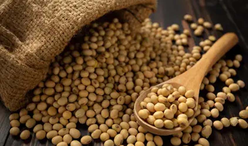 Soja e trigo hoje: cotações desta segunda-feira (13)