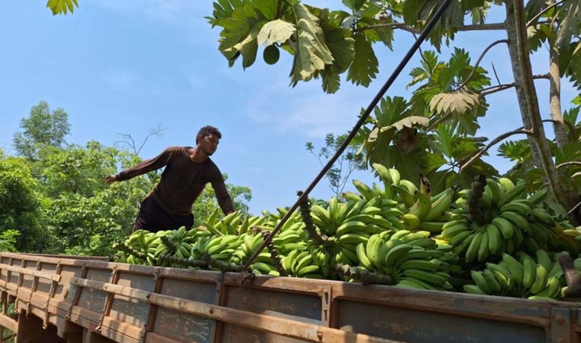 Semagric realiza transporte da produção da agricultura familiar