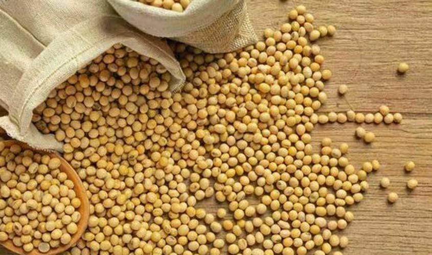 INDICADORES: preço da soja cai nesta quinta-feira (13)