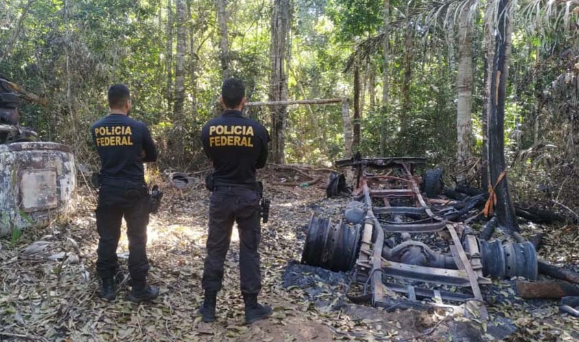 PF RO deflagra Operação Obsidium II para combater crimes ambientais em terra indígena 