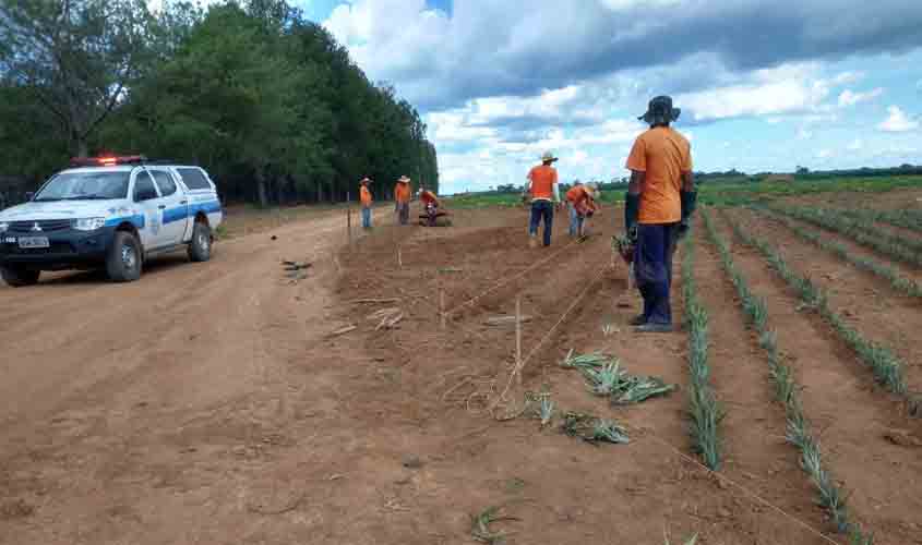 Rondônia atinge primeiro lugar nacional em percentual de reeducandos trabalhando 