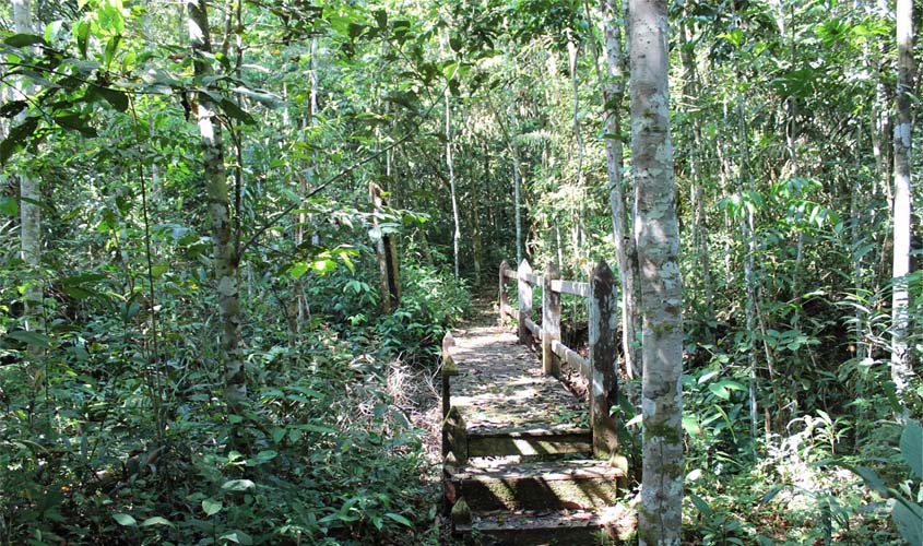 Parque da Amazônia aposta no turismo sustentável