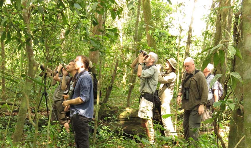 Pássaros atraem observadores no Parque da Amazônia