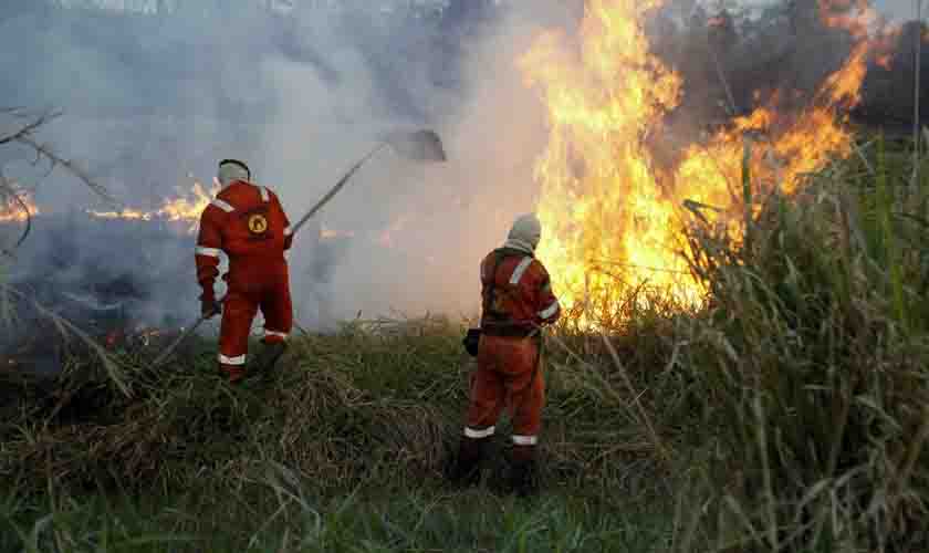 Operação “Verde Rondônia” desenvolve ações no combate a incêndios florestais