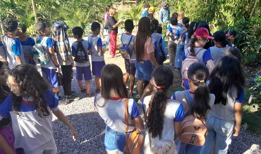 Projeto Rural Show Educa leva alunos para aula de campo sobre agricultura e meio ambiente