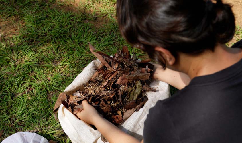 Compostagem para horta caseira dá outro destino às folhagens e evita queimadas urbanas na capital