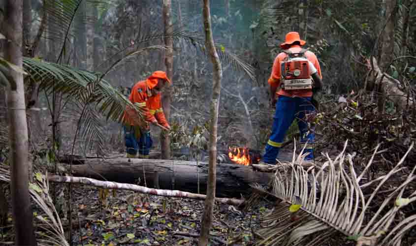 Pontos de reignição de incêndio são combatidos no Parque Estadual