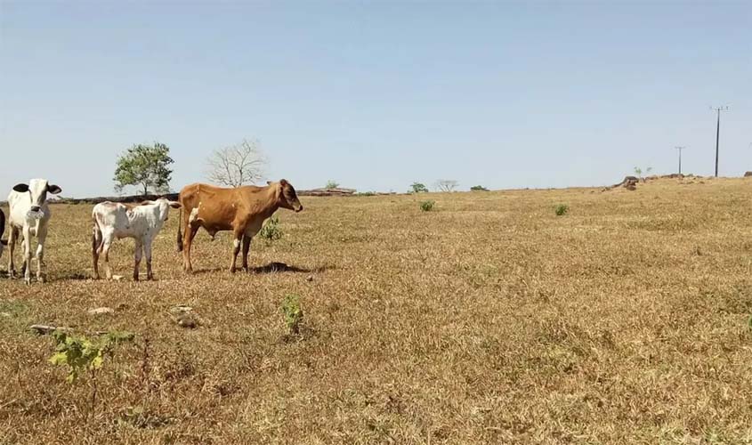 Seca fica mais severa em Tocantins e Rondônia entra no Monitor de Secas com mais da metade de seu território com o registro do fenômeno