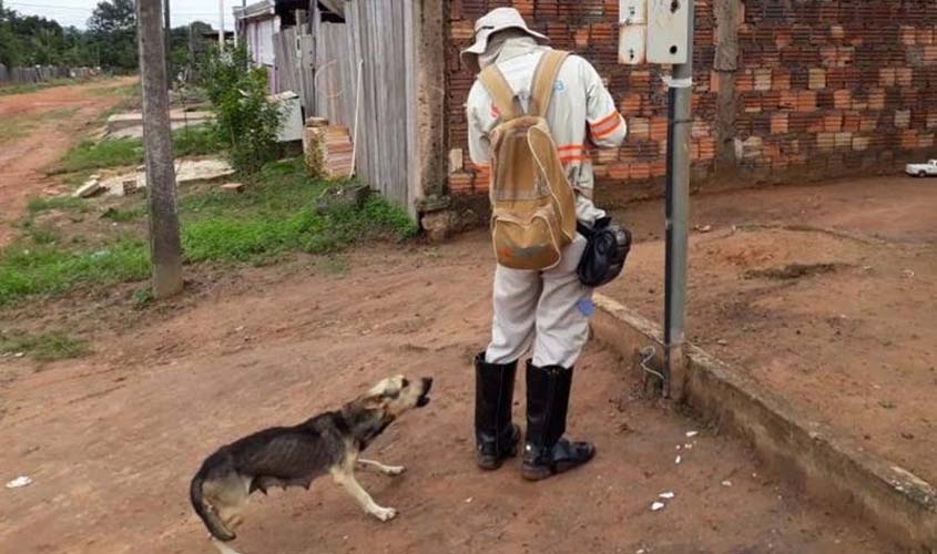 Nova 364 e Prosoja fortalecem agronegócio