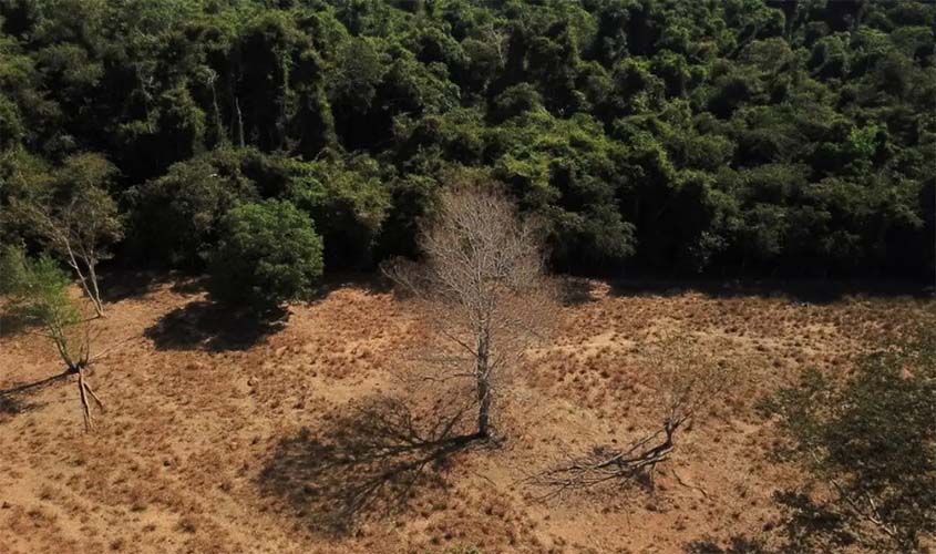 Estados já podem aderir ao programa de segurança da Amazônia