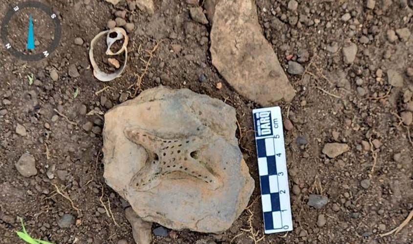 A Terra é Meu Quilombo celebra resistência ancestral