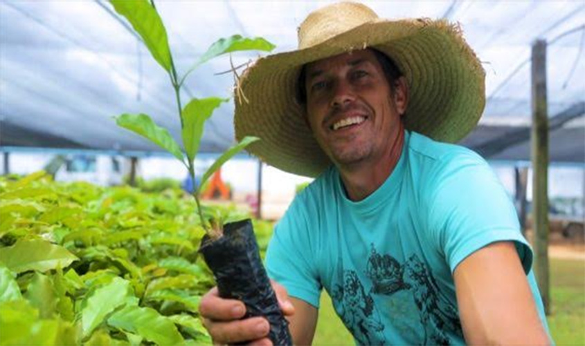 Rondônia investe R$ 500 mil na compra de mudas de café