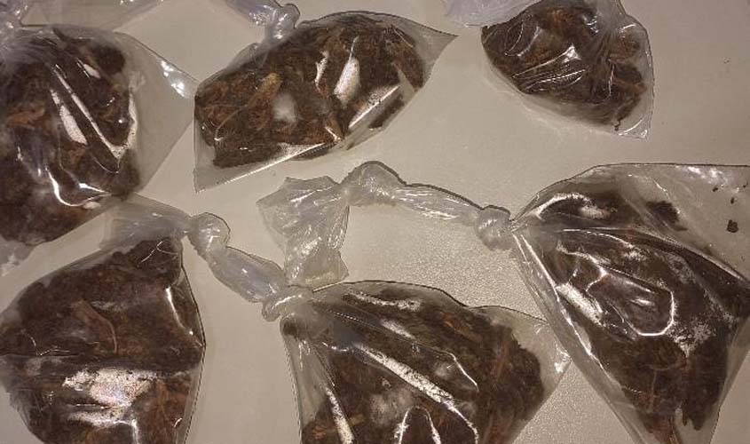 Patrulhamento apreende drogas e materiais do tráfico