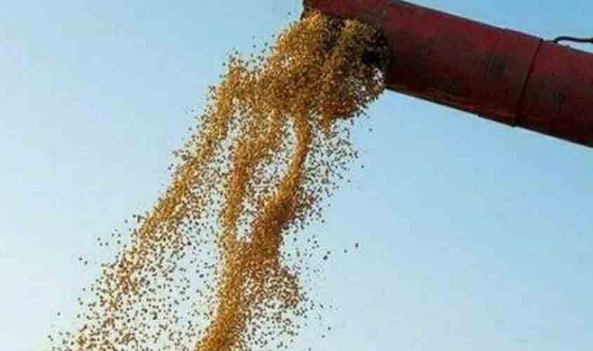 Soja: Preço registra alta no Paraná