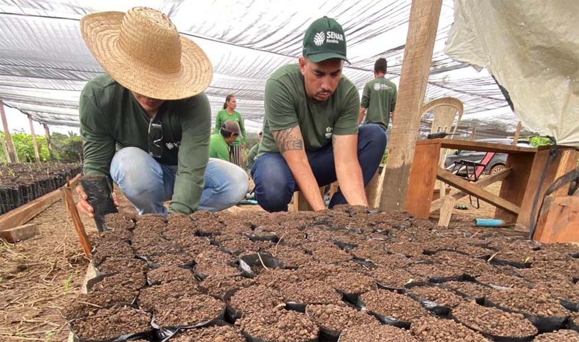 Produção de mudas é fortalecida no Projeto Fomenta Cacau
