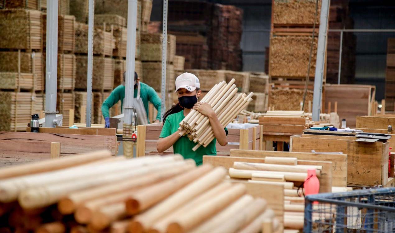 Rondônia possui a 2ª menor taxa de desigualdade de renda do Brasil