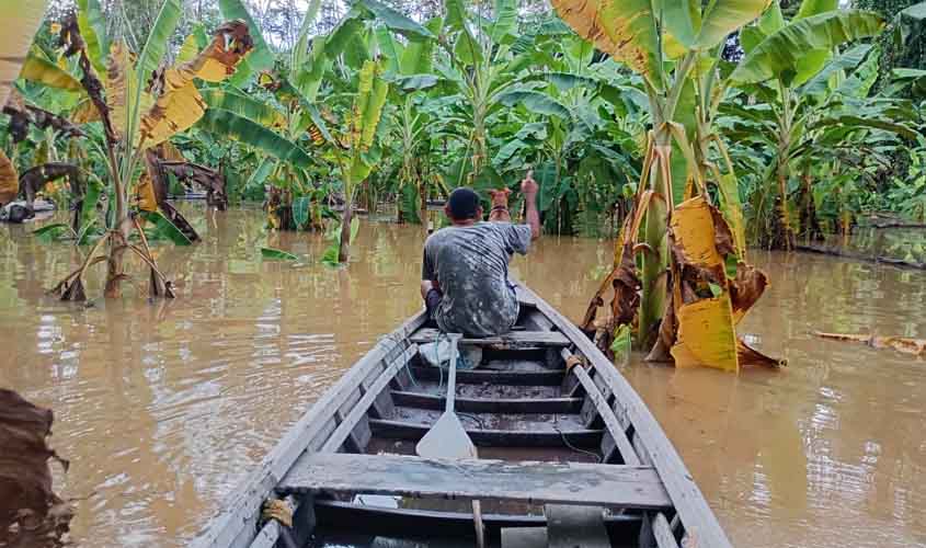 Ribeirinhos relatam abandono e demora na resposta à cheia do Madeira em Rondônia