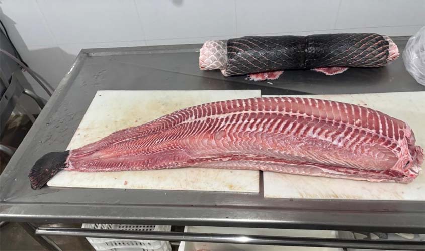 Regularização abre portas para agroindústrias no município