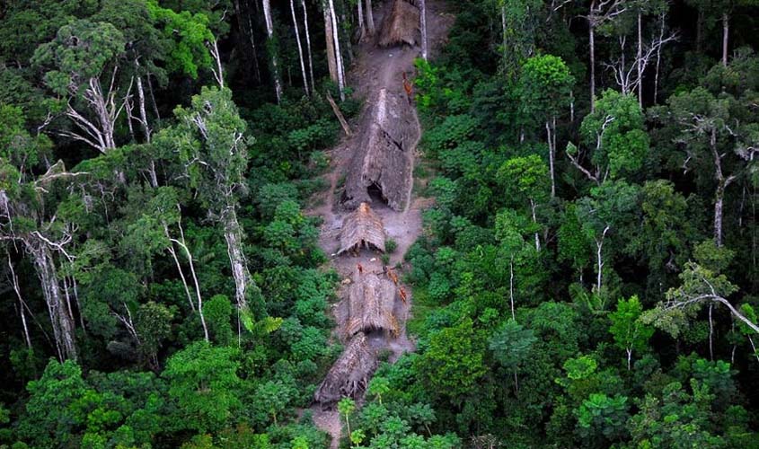 MPF recomenda à Sedam que não autorize plano de manejo em áreas federais 