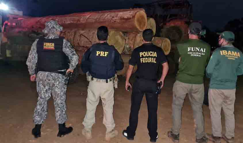 PF em ação conjunta, forças de segurança prendem quatro suspeitos por crimes ambientais em RO