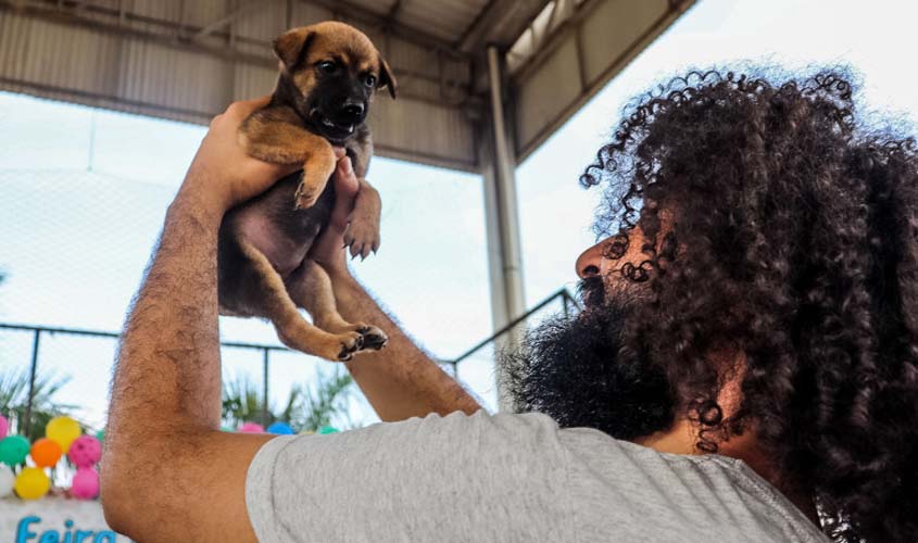 Sexta edição da feira de adoção de cães e gatos chegou à zona Leste de Porto Velho