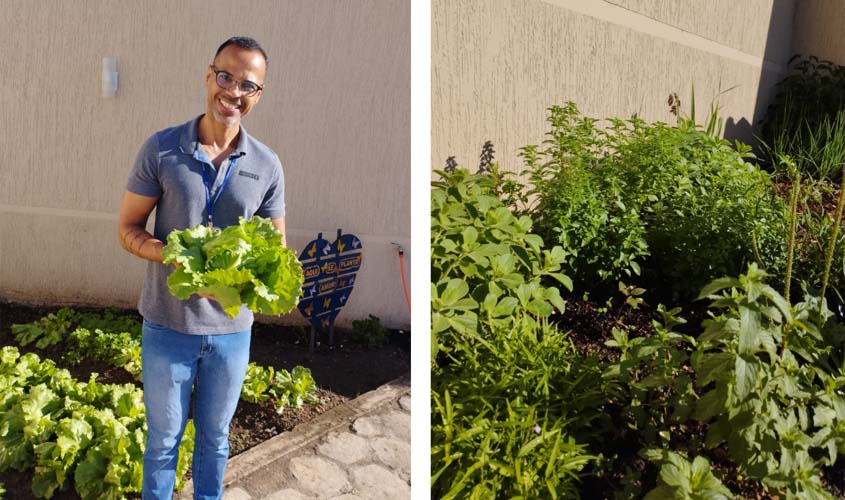 Colheita da horta comunitária de Pimenta Bueno revela viabilidade