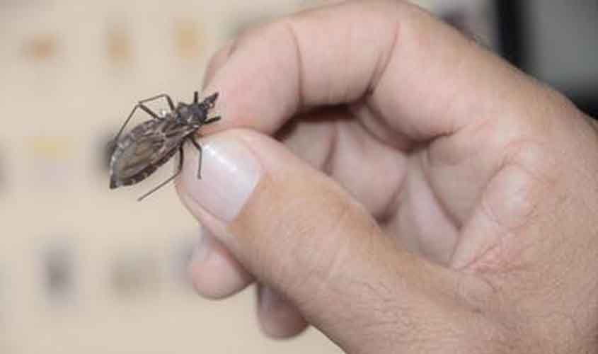 'Quem tem Chagas, tem pressa': projeto busca tratar pacientes mais perto de casa
