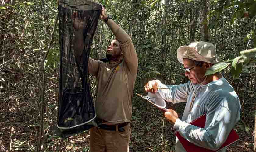 Programa Nacional de Monitoramento da Biodiversidade chega ao Parque Estadual Corumbiara