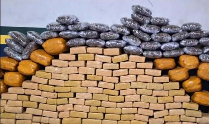 Forças de segurança apreendem 245 kg de skunk na BR-429