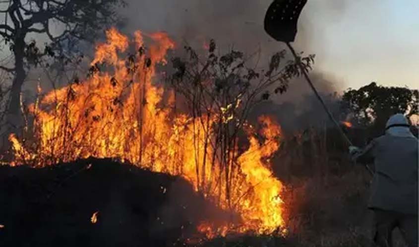 Mais de 500 municípios têm alto risco de fogo até novembro