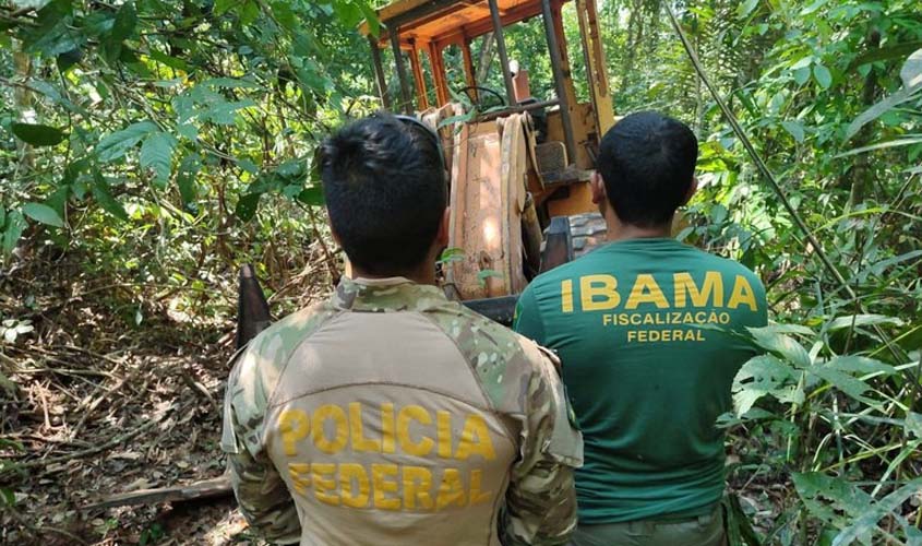 PF faz operação contra extração ilegal de madeira