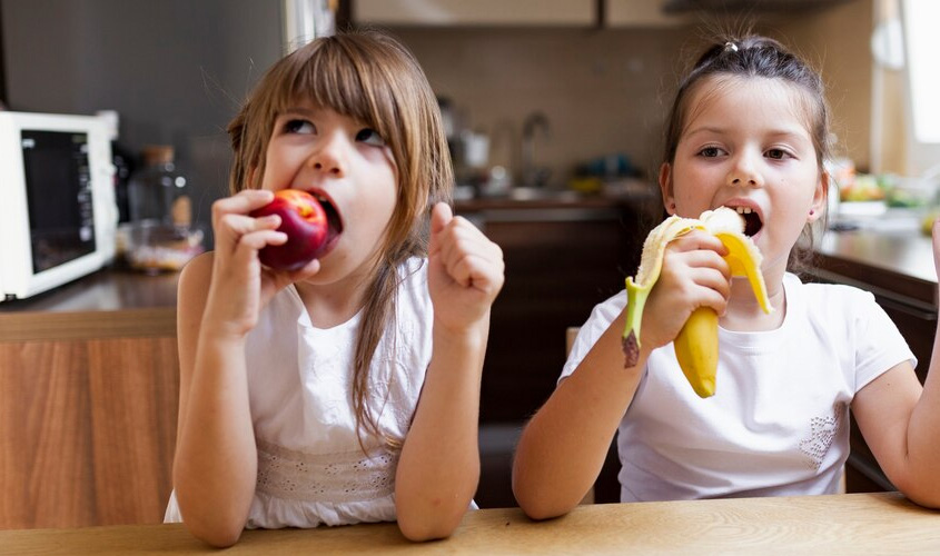 Montar lancheiras todos os dias: os desafios de garantir variedade e sabor para as crianças