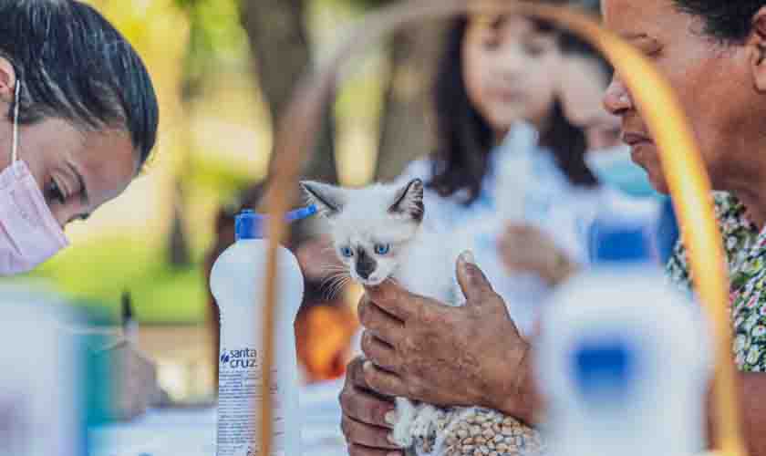 Mais de cem animais ganharam um novo lar durante a I Feira da Adoção de cães e gatos em Porto Velho