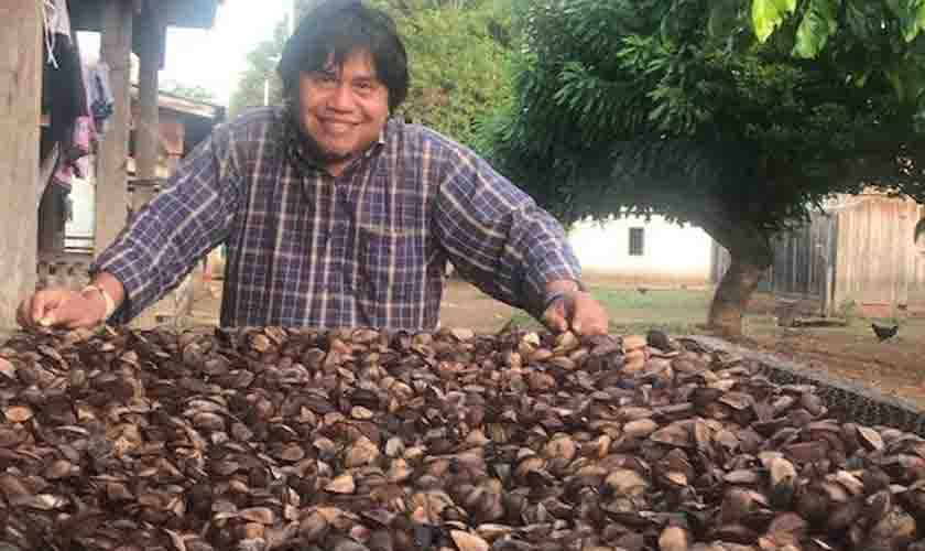 Em parceria com a Funai, indígenas Zoró colhem 58 toneladas de castanha-da-Amazônia