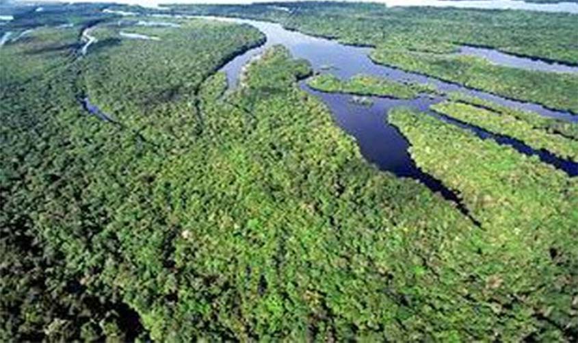 PGR prorroga Força-Tarefa Amazônia por mais um ano