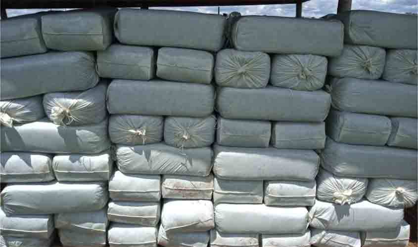 Método de silagem em fardo com capim capiaçú é demonstrado a produtores rurais do Assentamento Santa Rita, em Porto Velho