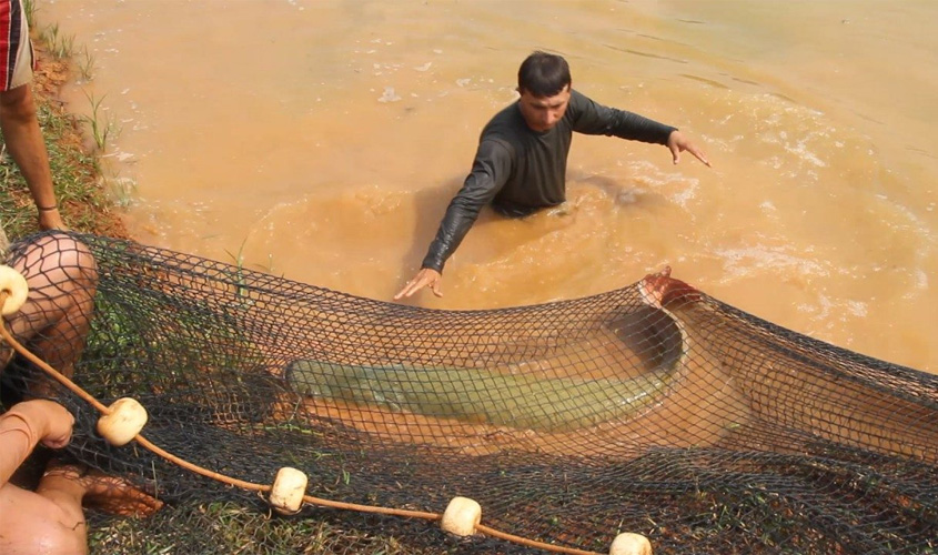 Colônias de Pescadores estão isentas da licença ambiental para rios, mas devem cumprir manejo em lagos