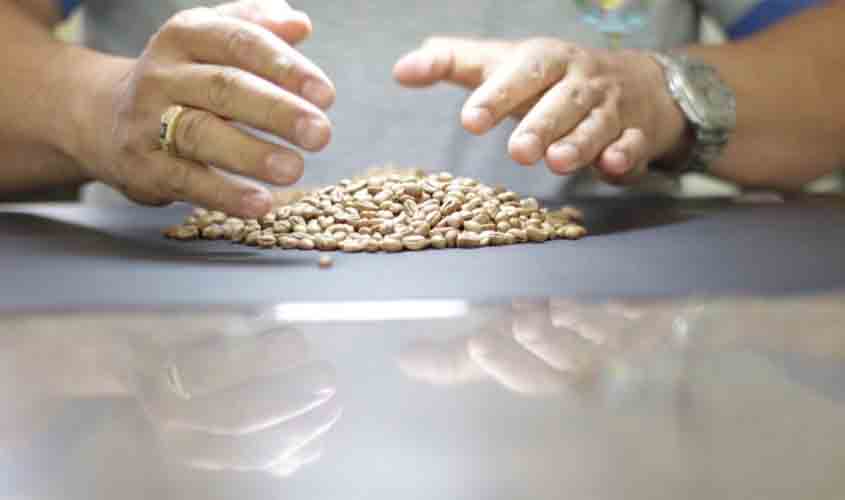 Governo de Rondônia lança Chamamento Público para credenciar instituições interessadas em adquirir secadores de café