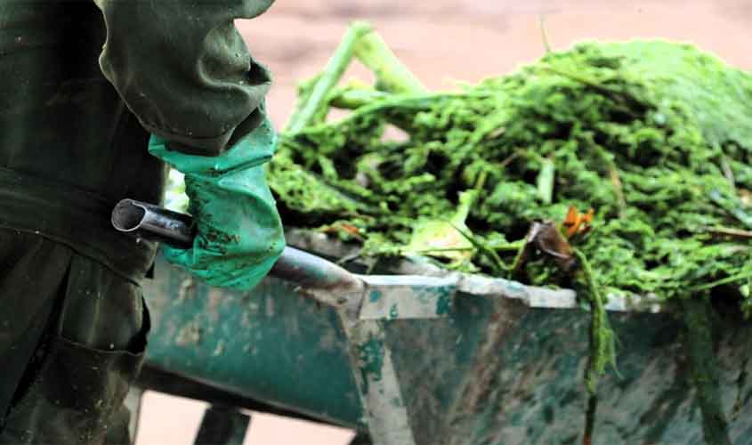 Políticas do Judiciário para sustentabilidade dão suporte para estratégias que impulsionam economia circular