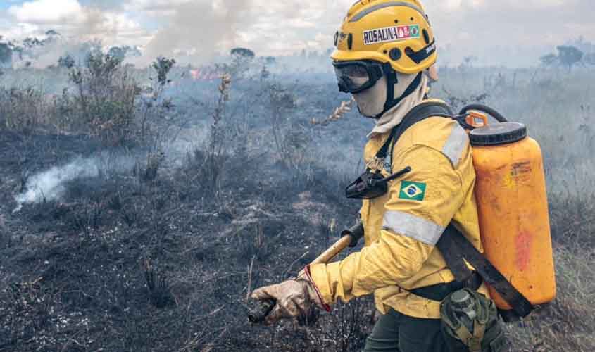 Instituto Chico Mendes realiza processos seletivos para contratação de 1785 brigadistas florestais