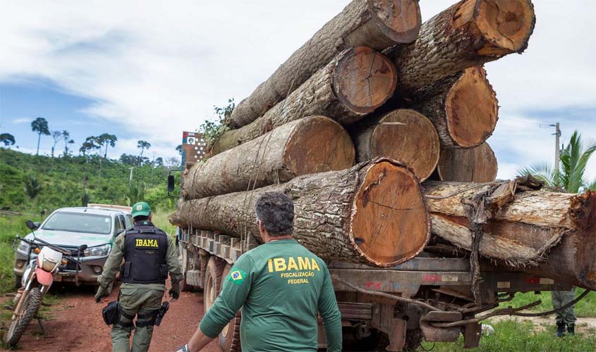 Governo autoriza contratação de 257 servidores para o Ibama