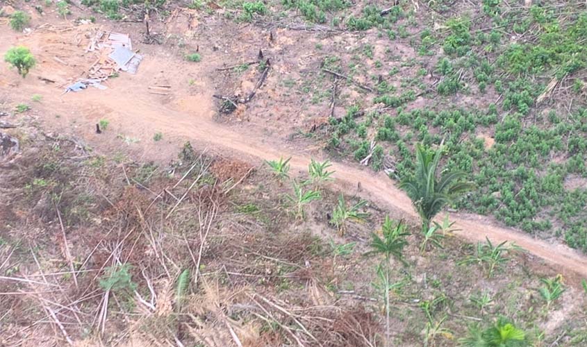 Operação Mapinguari de desocupação do 'Bico do Parque' ocorre sem nenhuma intercorrência