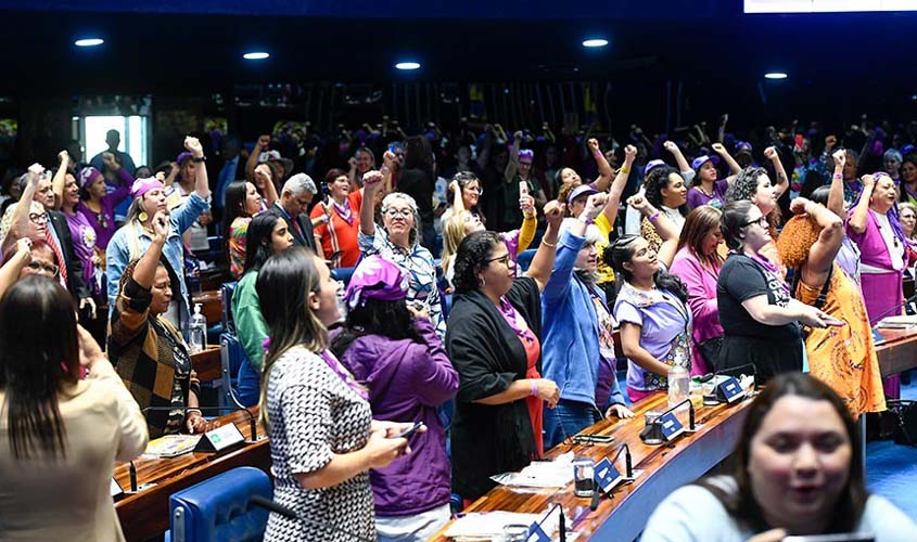 Homenagem à Marcha das Margaridas evidencia demanda por igualdade 