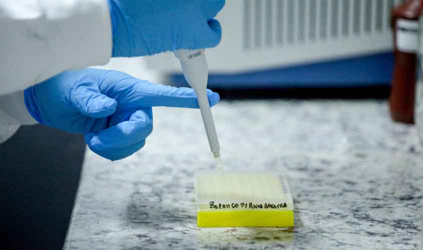 Buscas com DNA é fortalecida pelo governo de RO; mobilização nacional amplia chances de reencontros