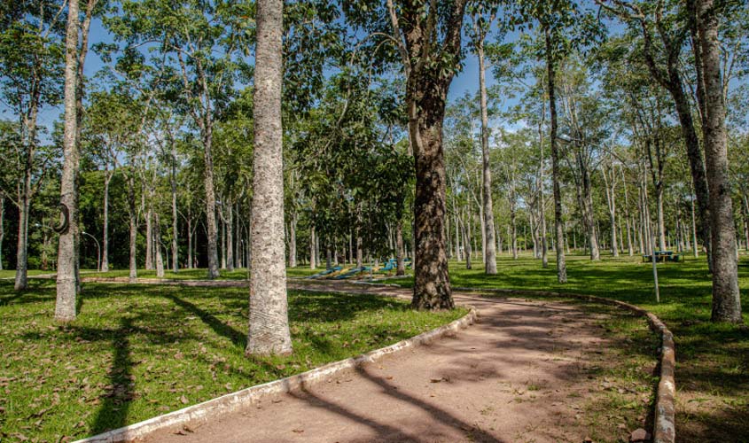 Porto Velho terá programação especial em comemoração ao Dia da Árvore
