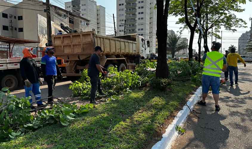 Prefeitura de Porto Velho realiza poda de árvores na avenida Imigrantes