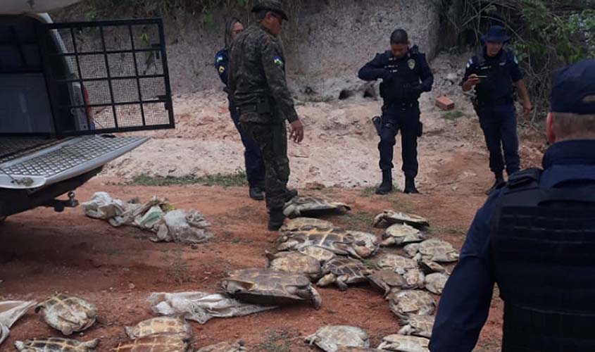 Operação integrada entre Polícia Militar e SEDAM reprime crimes ambientais