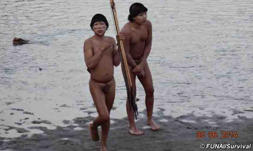 Povo indígena isolado anteriormente desconhecido está à beira do extermínio