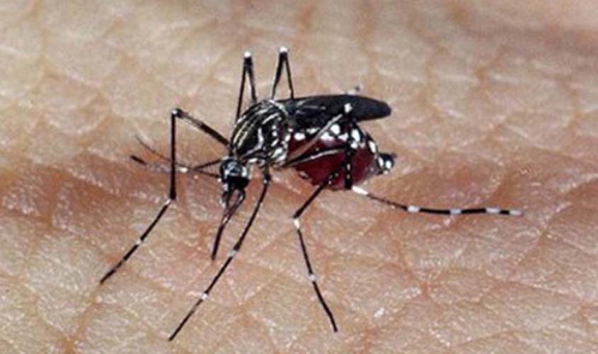 Dengue: Brasil registra mais de 1,6 milhão de casos prováveis